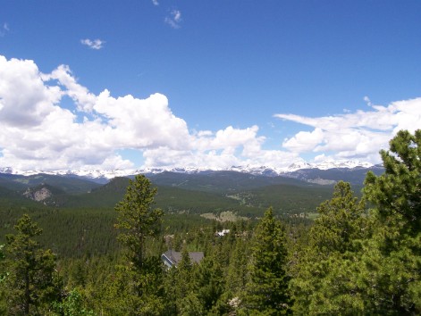 View from the highest point in the backyard